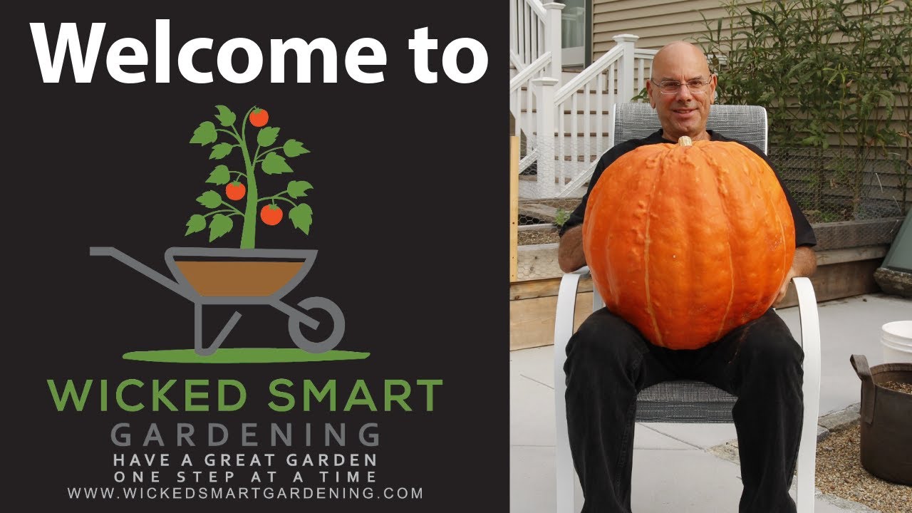 Welcome to Wicked Smart Gardening introductory video thumbnail featuring Brian Hagopian